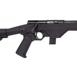 Carabine CITADEL TRAKR Black cal.22Lr