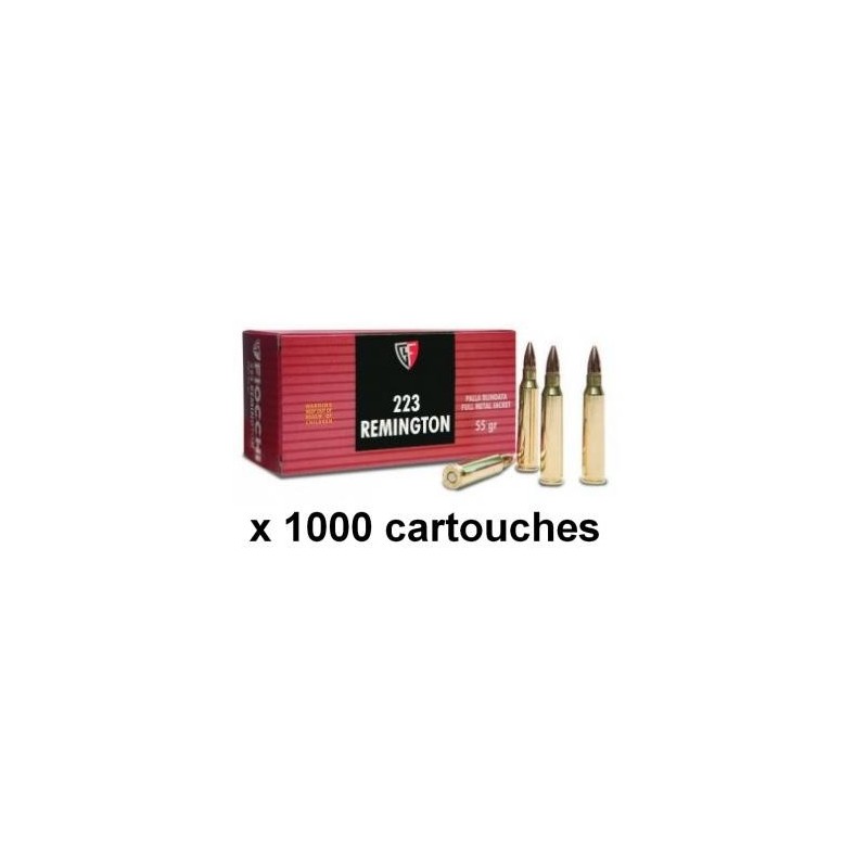 FIOCCHI cal.223 Rem FMJ 55gr /1000