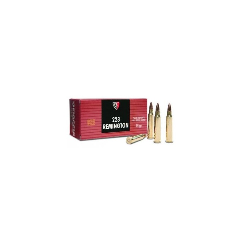 FIOCCHI cal.223 Rem FMJ 55gr /50